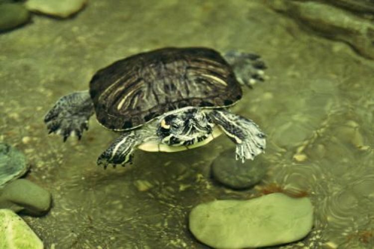 Гостиница Сретенская Москва-44