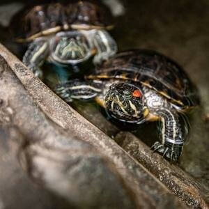 Гостиница Сретенская Москва-37