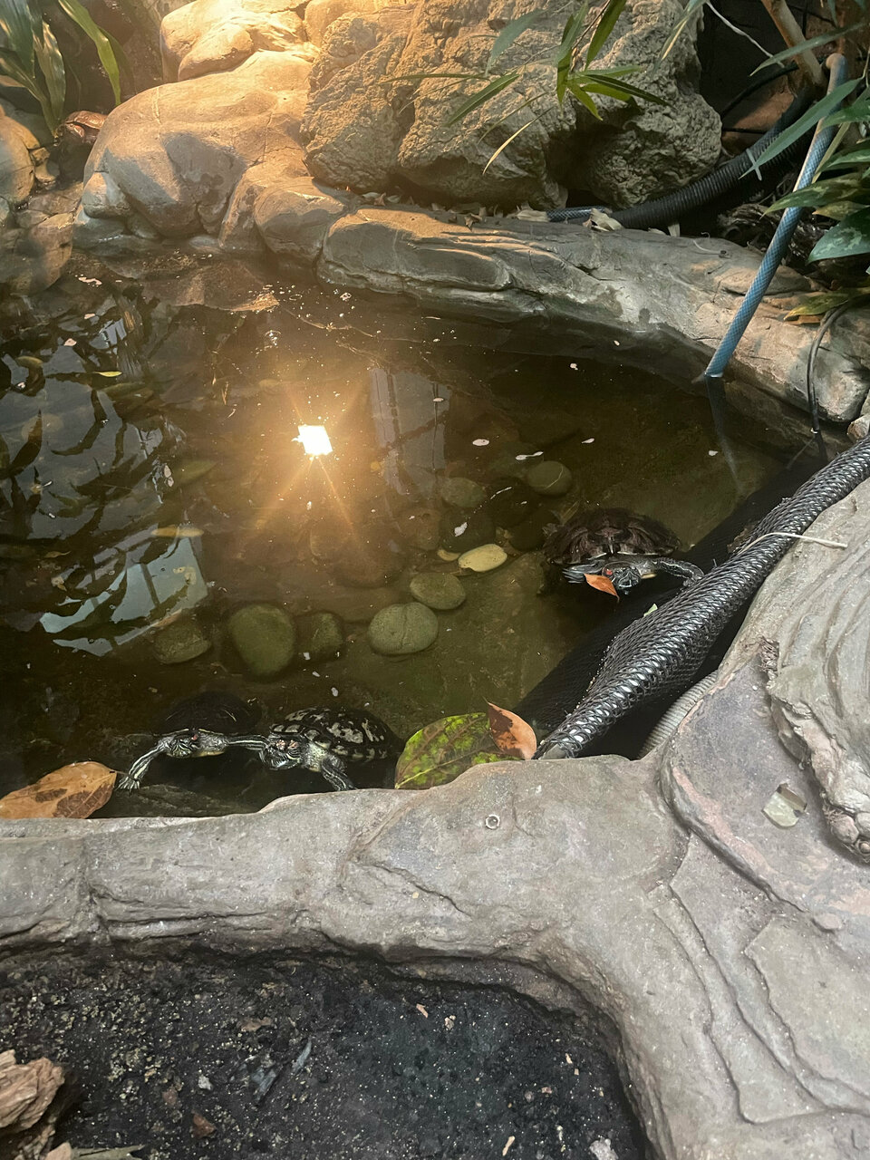 Гостиница Сретенская Москва-110