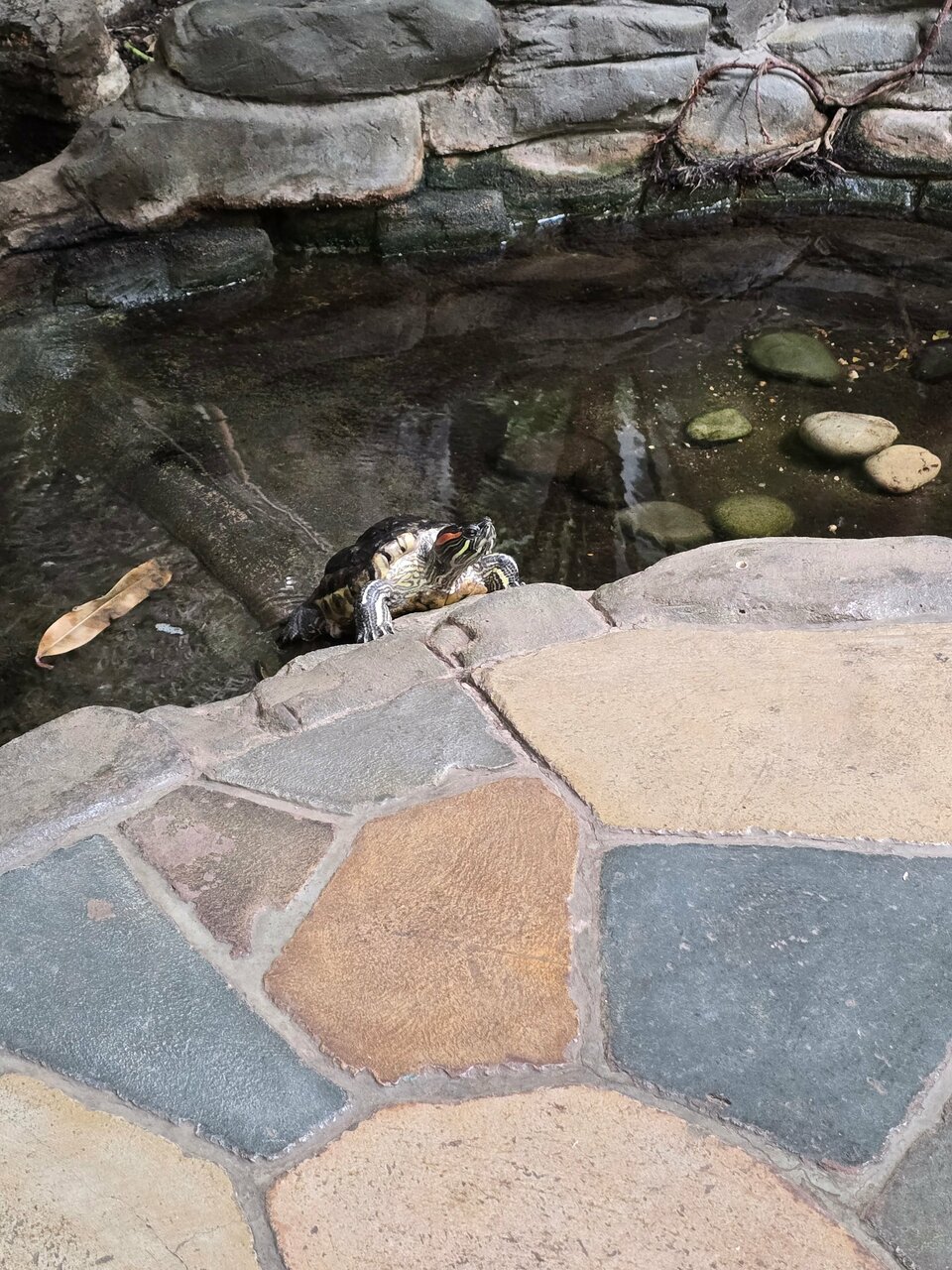 Гостиница Сретенская Москва-127