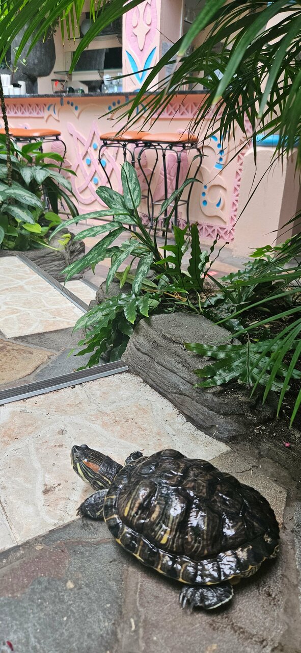 Гостиница Сретенская Москва-139