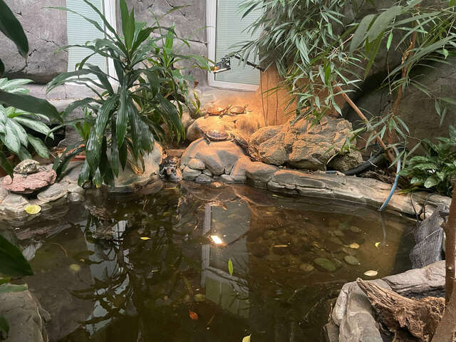 Гостиница Сретенская Москва-166