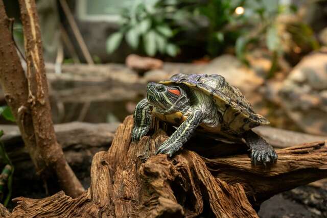 Гостиница Сретенская Москва-9