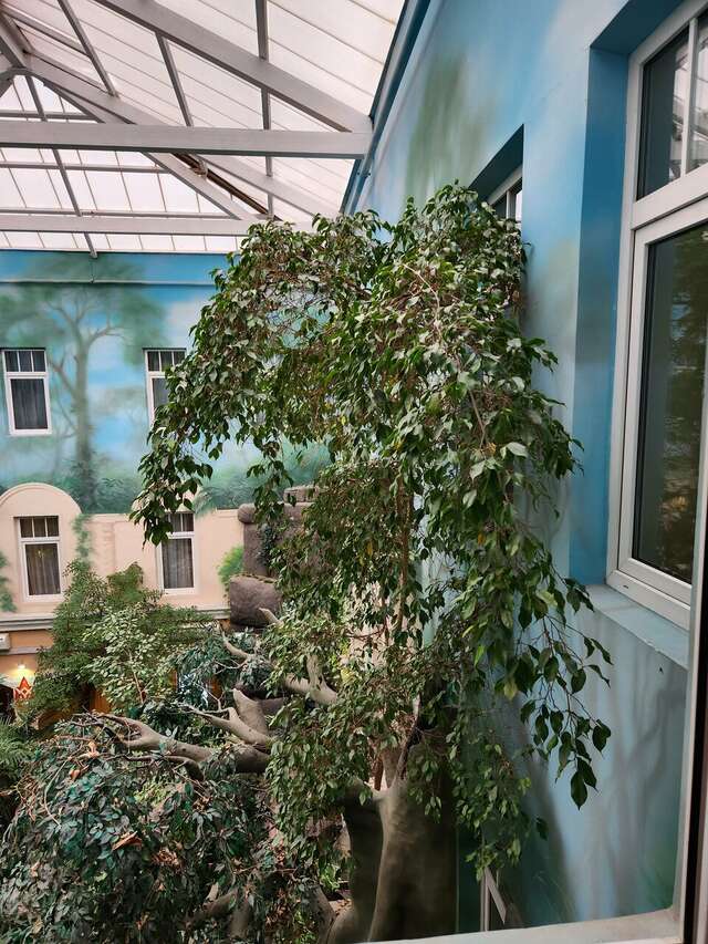 Гостиница Сретенская Москва-128