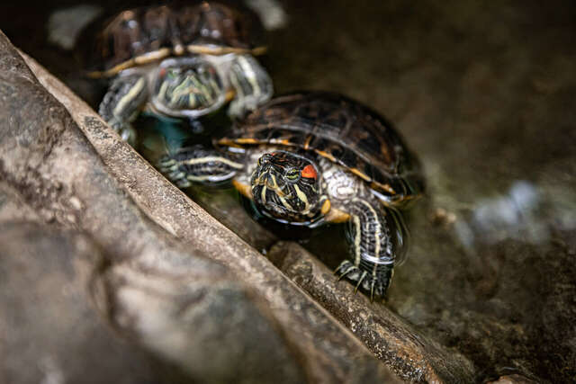 Гостиница Сретенская Москва-68