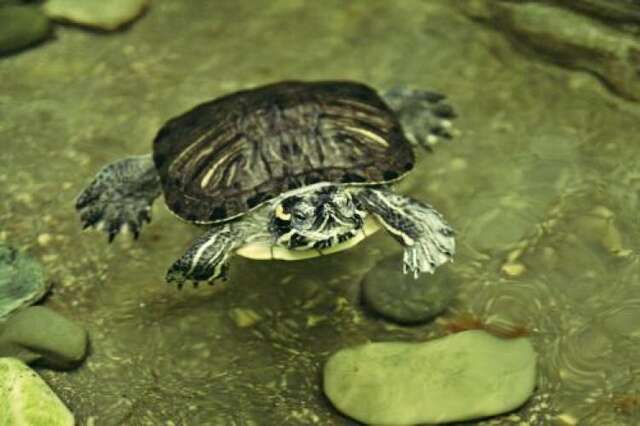 Гостиница Сретенская Москва-43