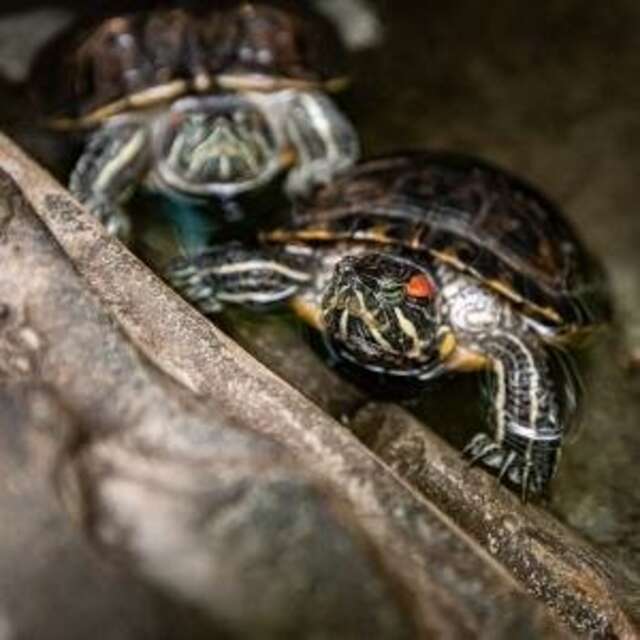 Гостиница Сретенская Москва-36