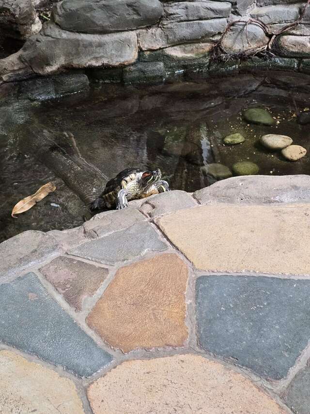 Гостиница Сретенская Москва-126